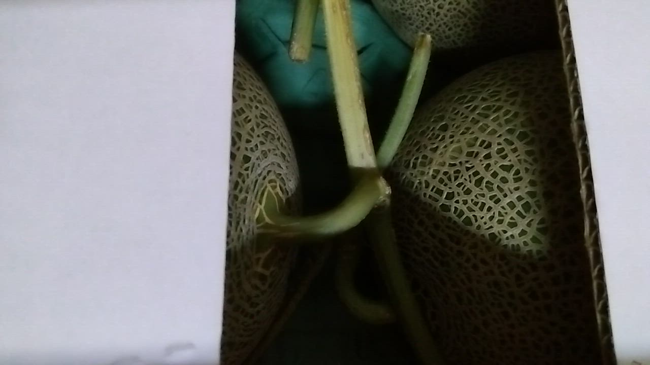 全体のレビュー動画のサムネイル | 3