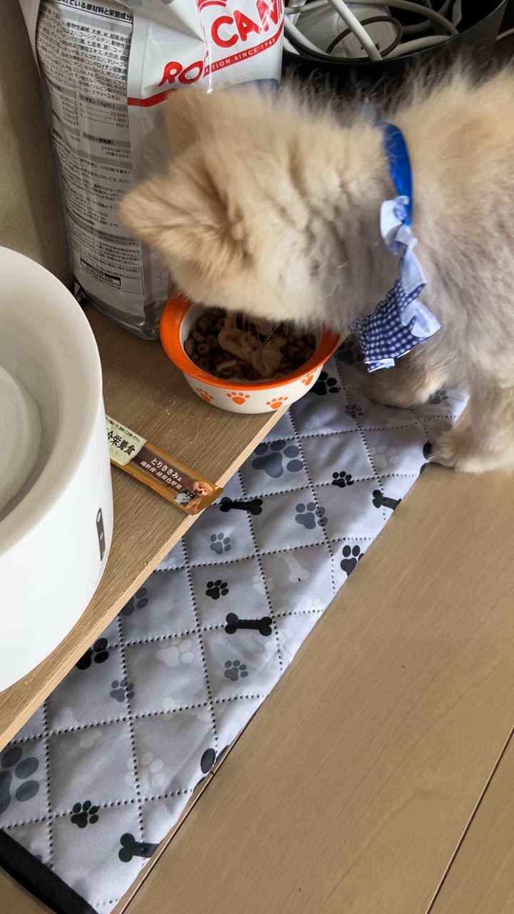 1件目のレビュー動画のサムネイル | 0