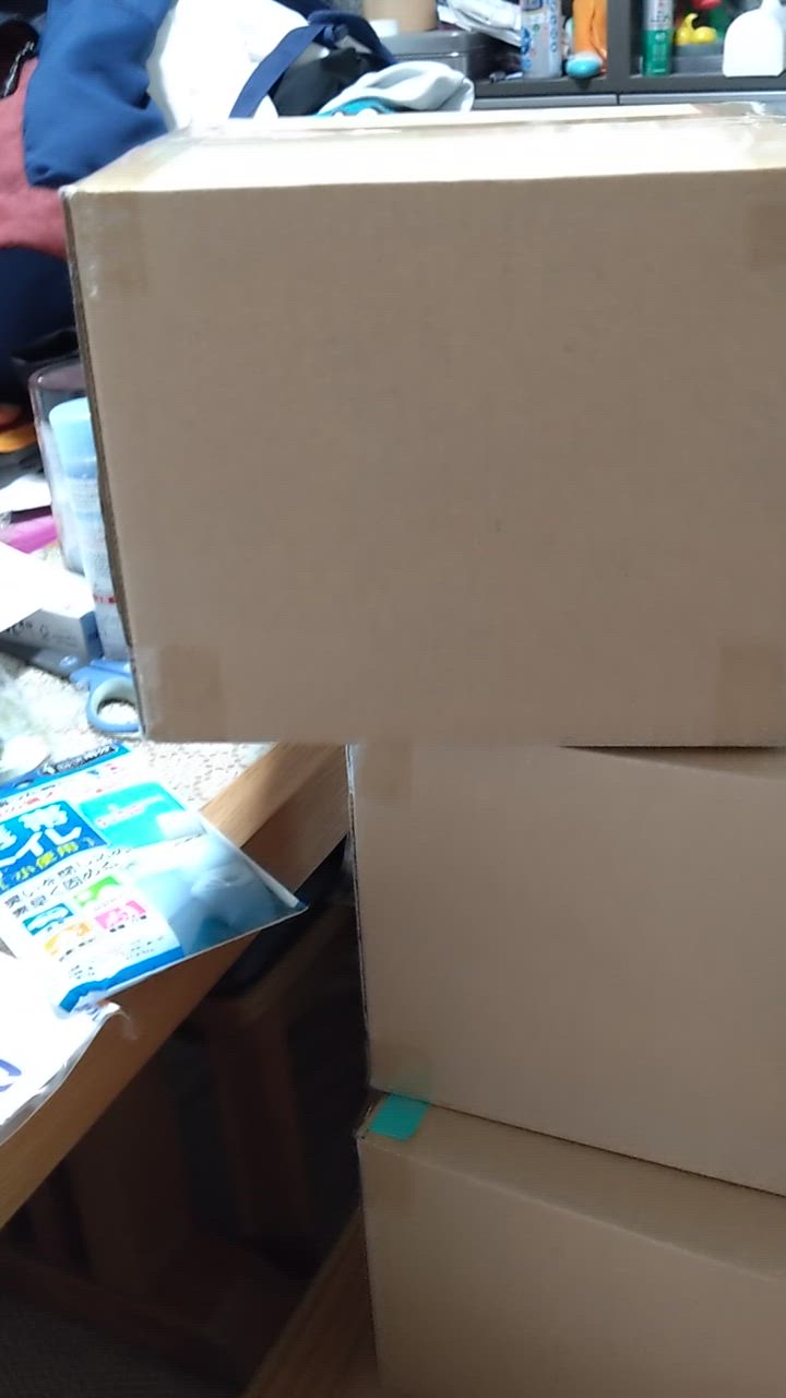 全体のレビュー動画のサムネイル | 14