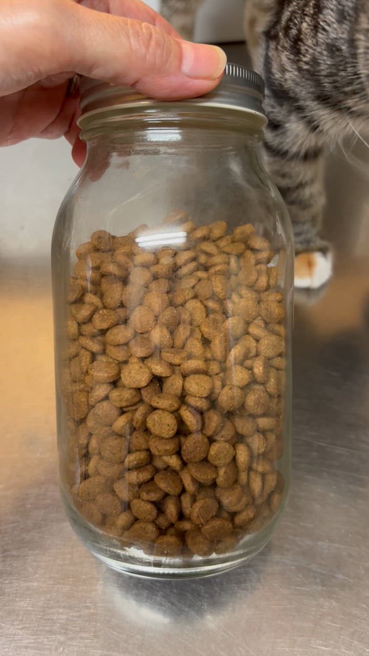 全体のレビュー動画のサムネイル | 0