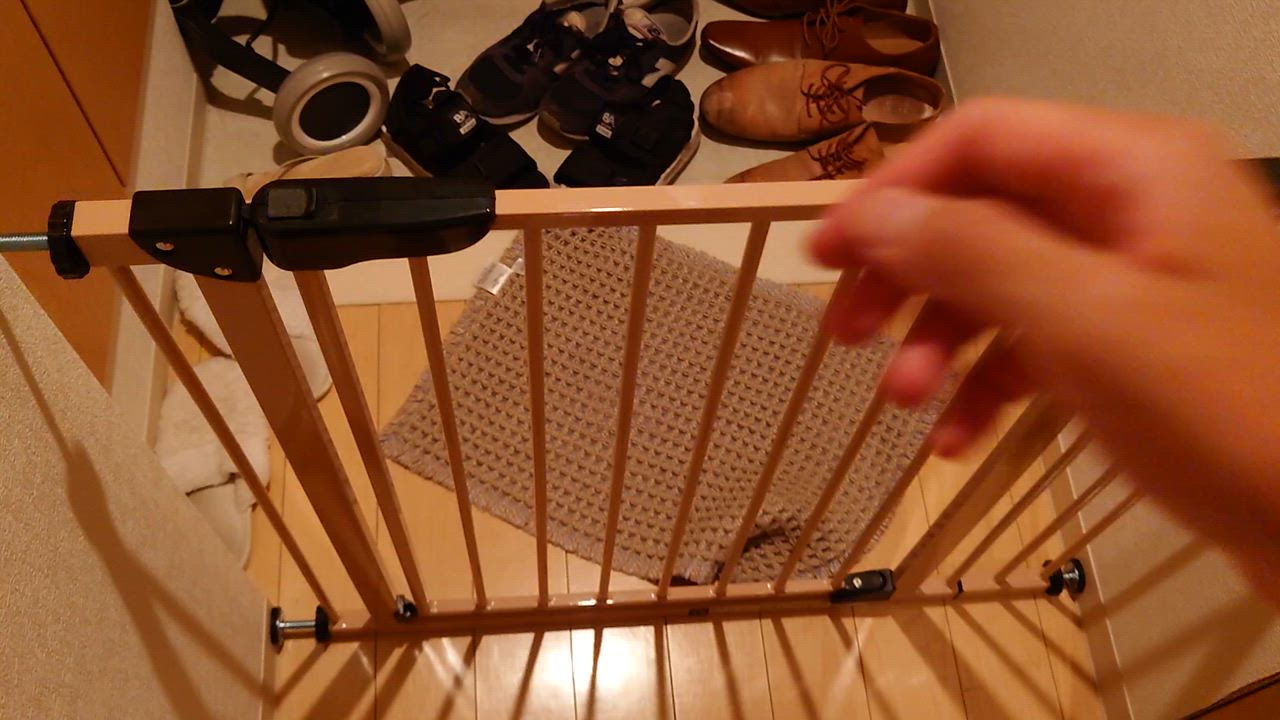 全体のレビュー動画のサムネイル | 13