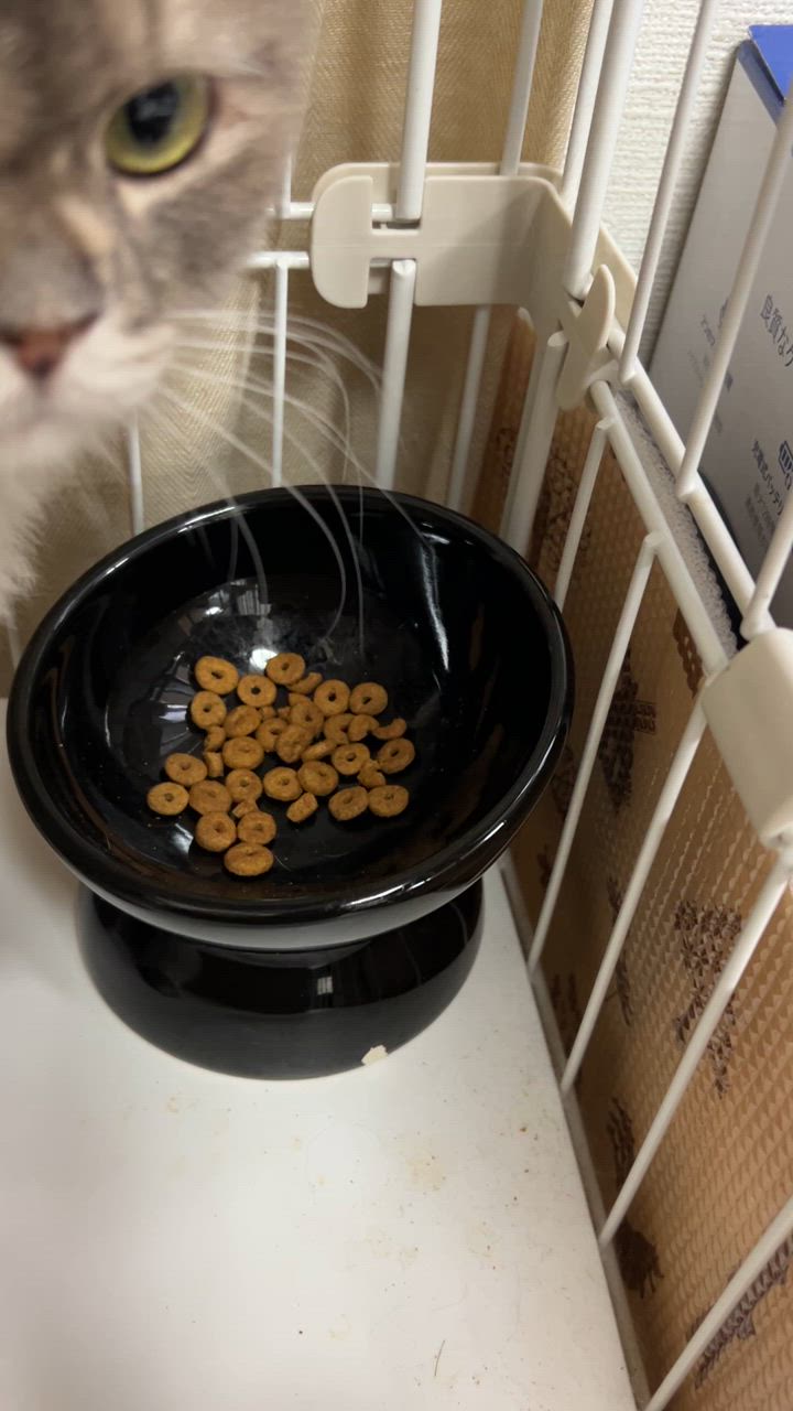 全体のレビュー動画のサムネイル | 0