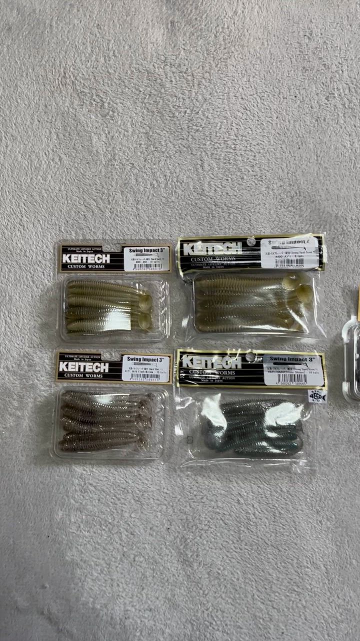 トックリヤシ　No3 トックリヤシ No3