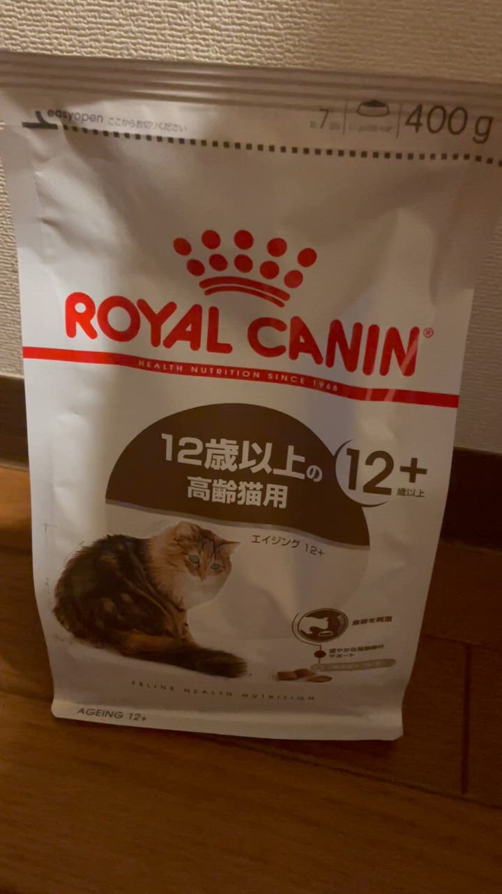 全体のレビュー動画のサムネイル | 2