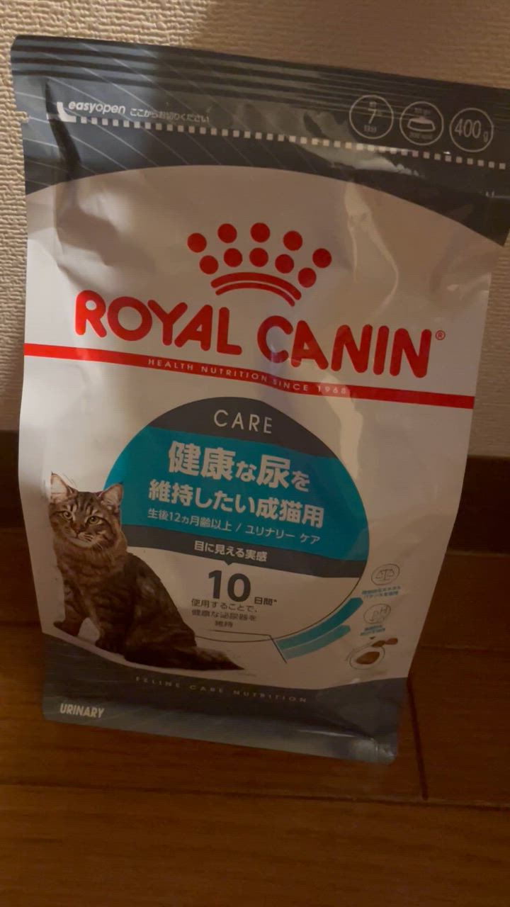 全体のレビュー動画のサムネイル | 2