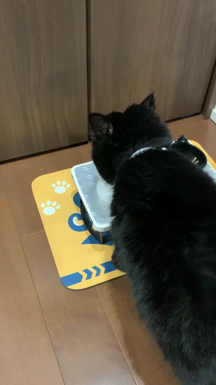 全体のレビュー動画のサムネイル | 1