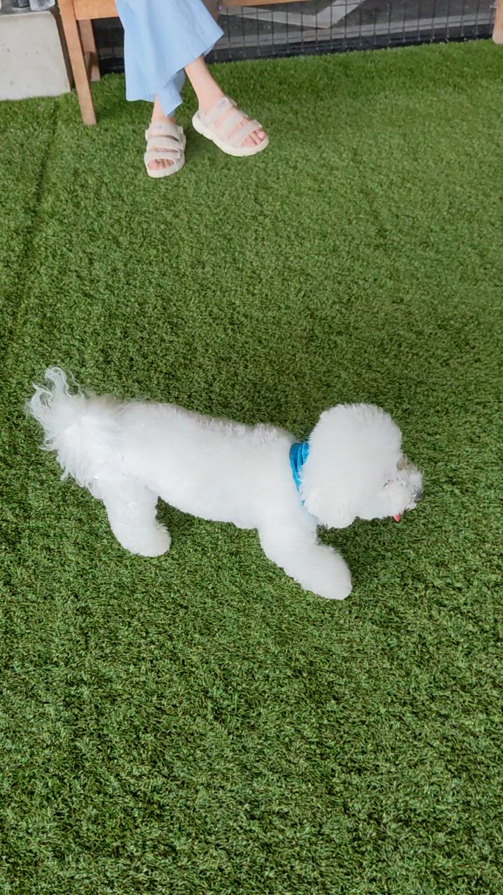 全体のレビュー動画のサムネイル | 0
