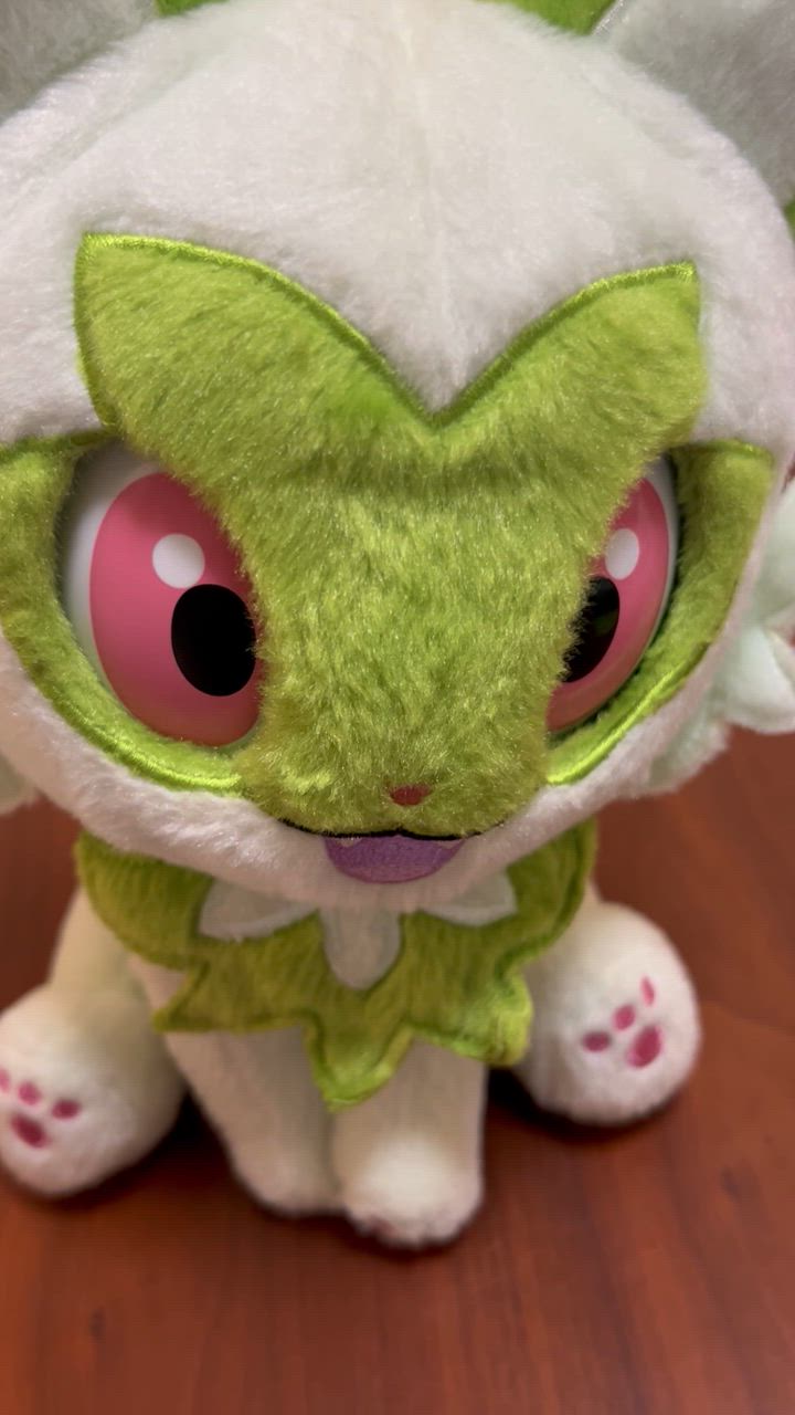 送料無料 ポケットモンスター ポケモン なでてみつめてぱちくり