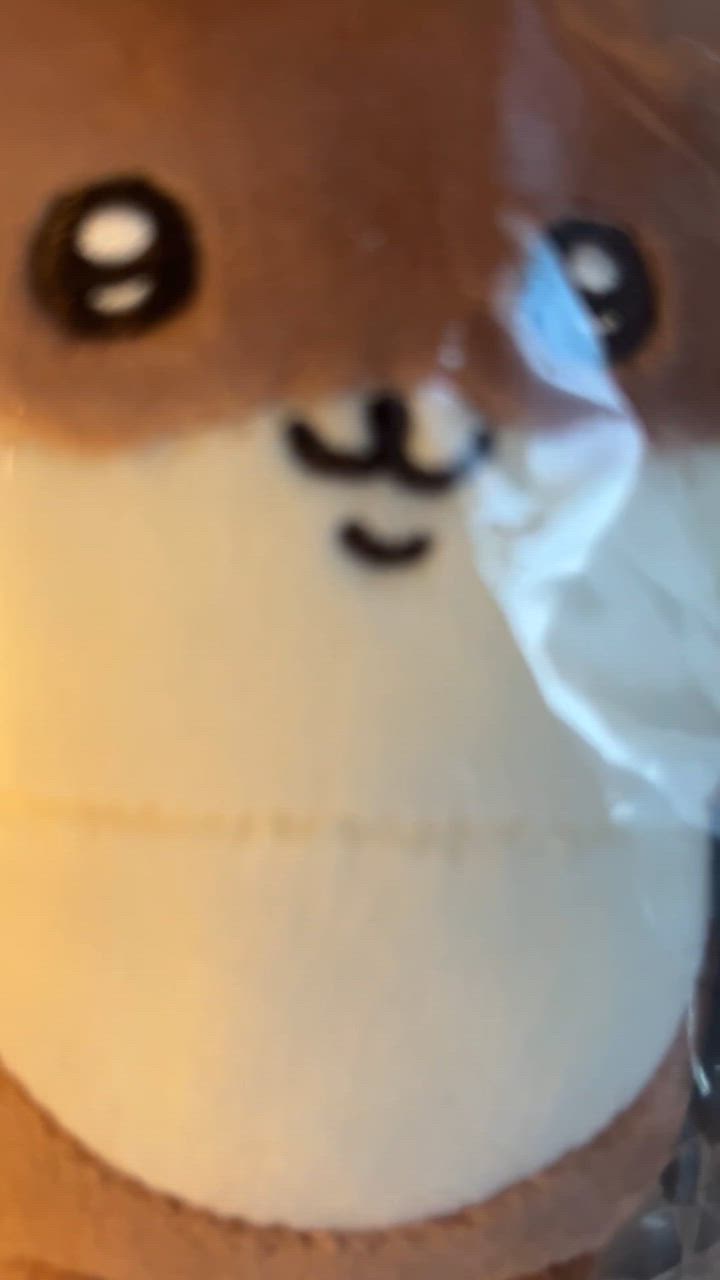 ちいかわ ナガノのカワウソ ぬいぐるみ マスコット キーホルダー