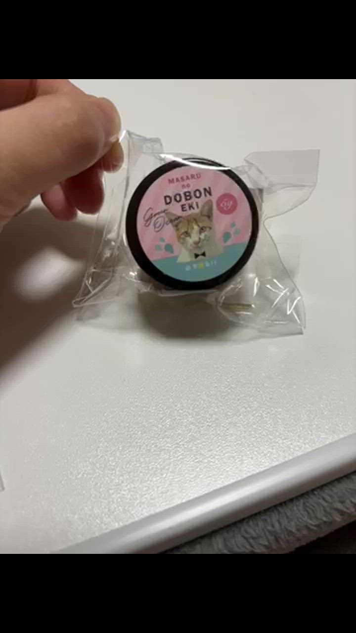 隠れ工房GreenOcean コーティング用レジン液 必ず沼る！まさるの