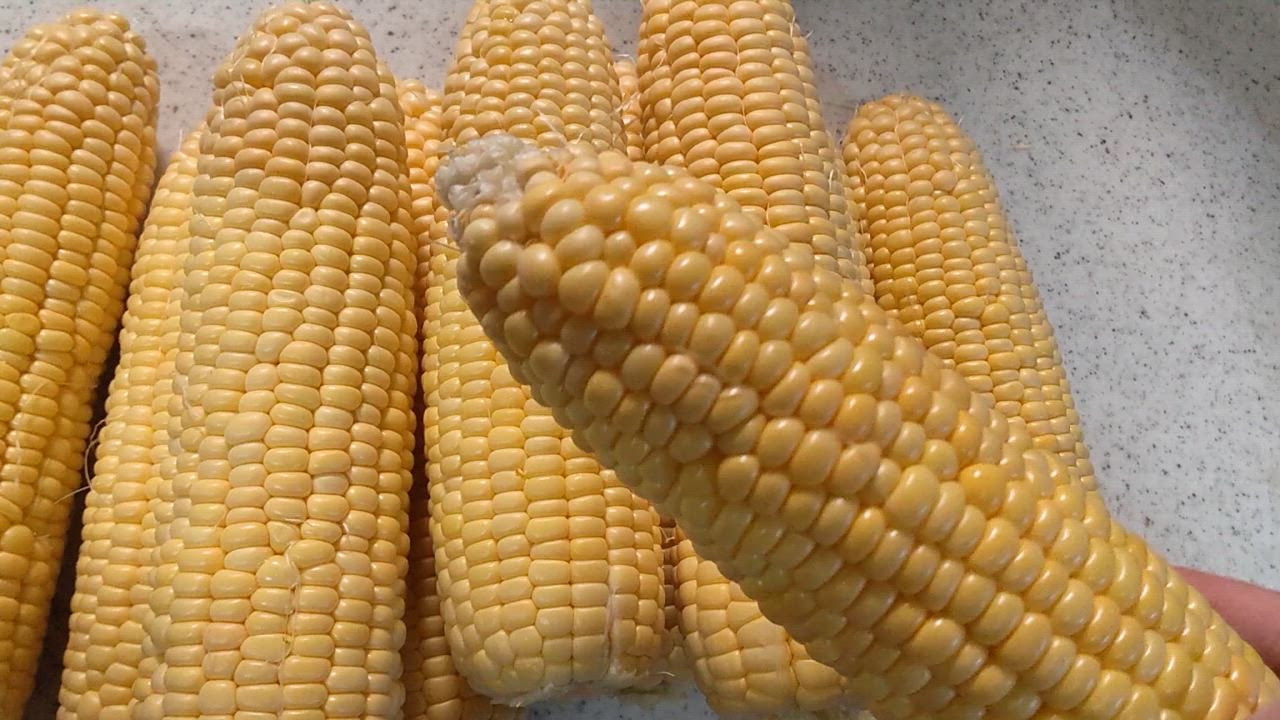 全体のレビュー動画のサムネイル | 1