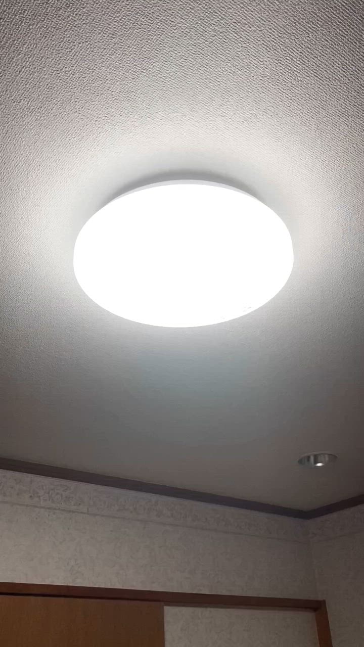 全体のレビュー動画のサムネイル | 12