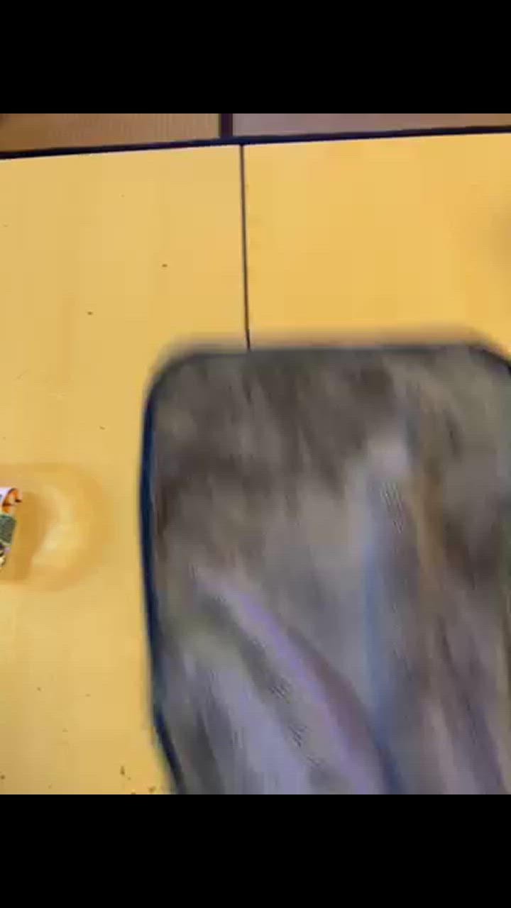 全体のレビュー動画のサムネイル | 2