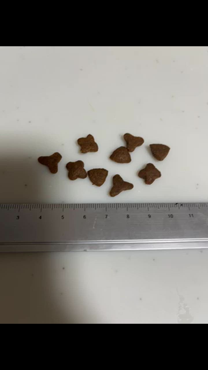 全体のレビュー動画のサムネイル | 0