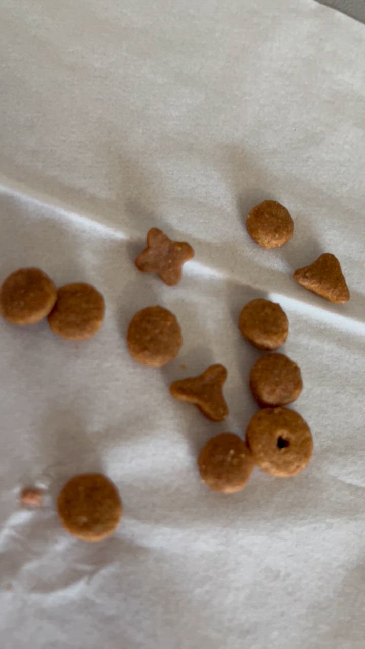 全体のレビュー動画のサムネイル | 2