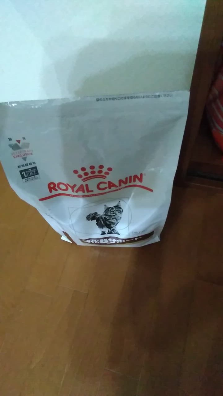 全体のレビュー動画のサムネイル | 0