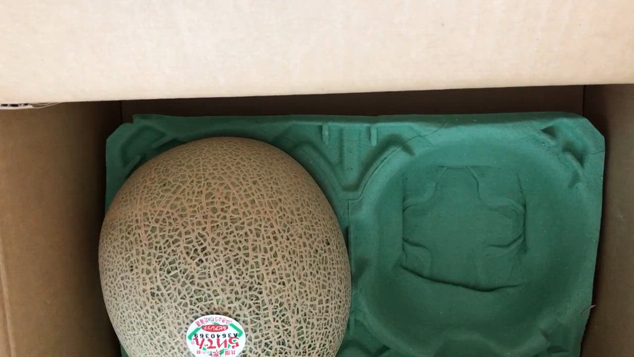全体のレビュー動画のサムネイル | 1