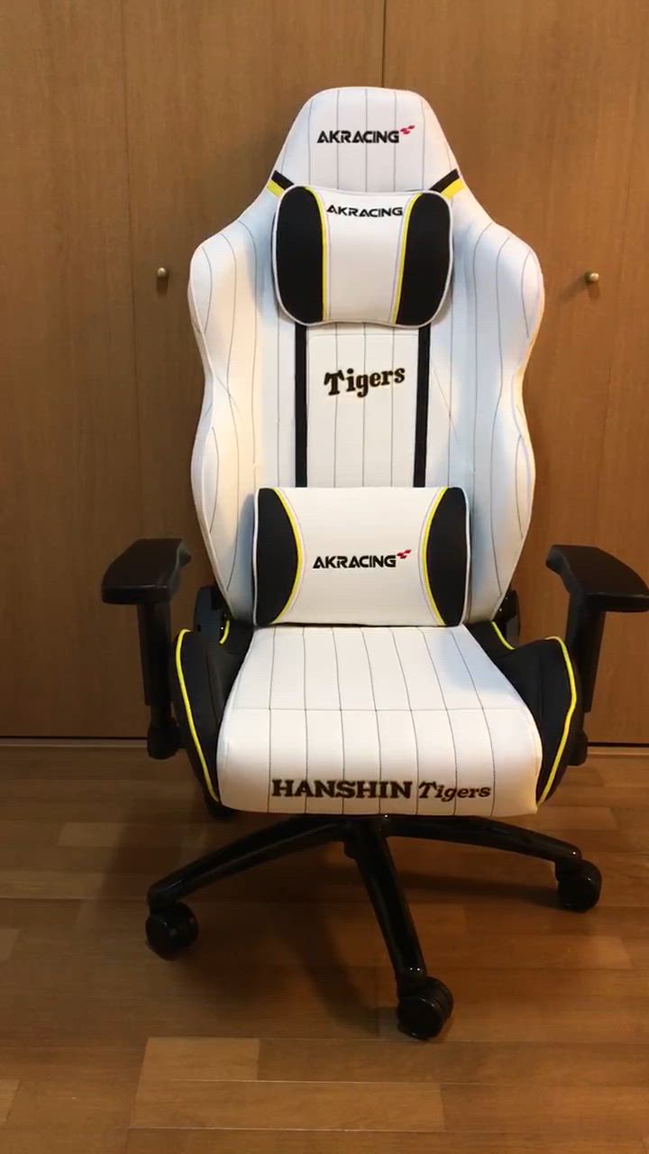 (AKR)ハンギングチェア AKRacing AKRacing(エーケーレーシング) AKレーシング Pro-X V2