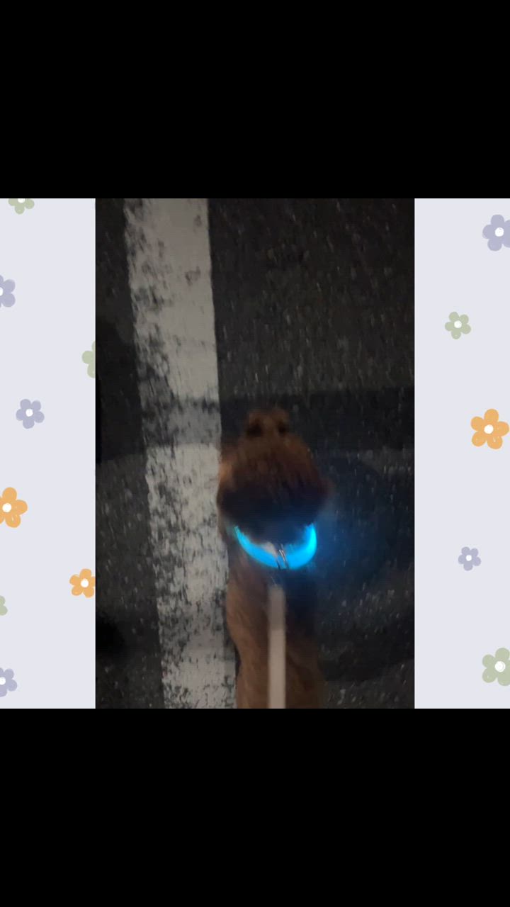 全体のレビュー動画のサムネイル | 9