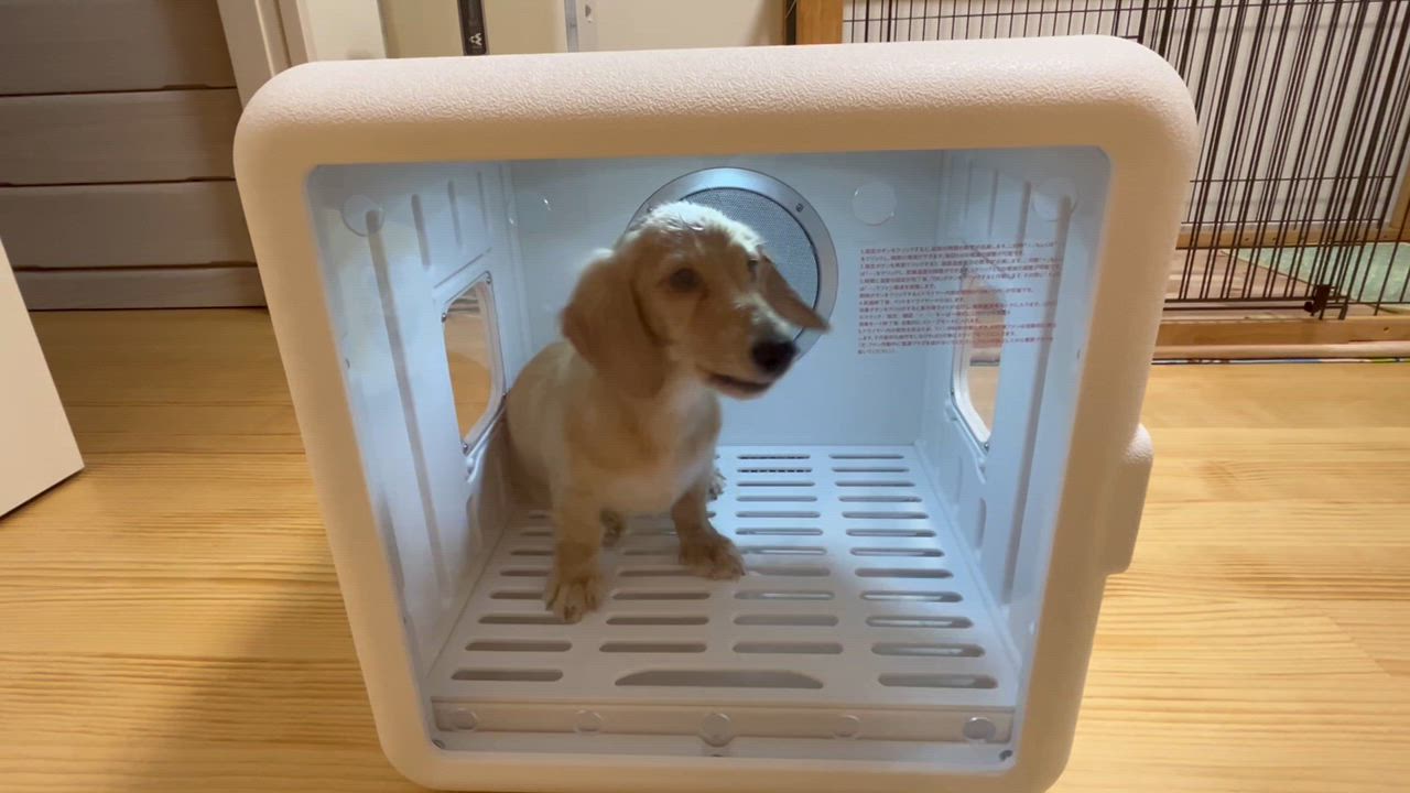 全体のレビュー動画のサムネイル | 3