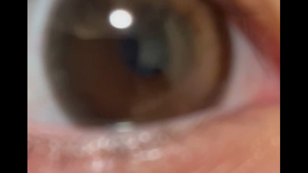 全体のレビュー動画のサムネイル | 1