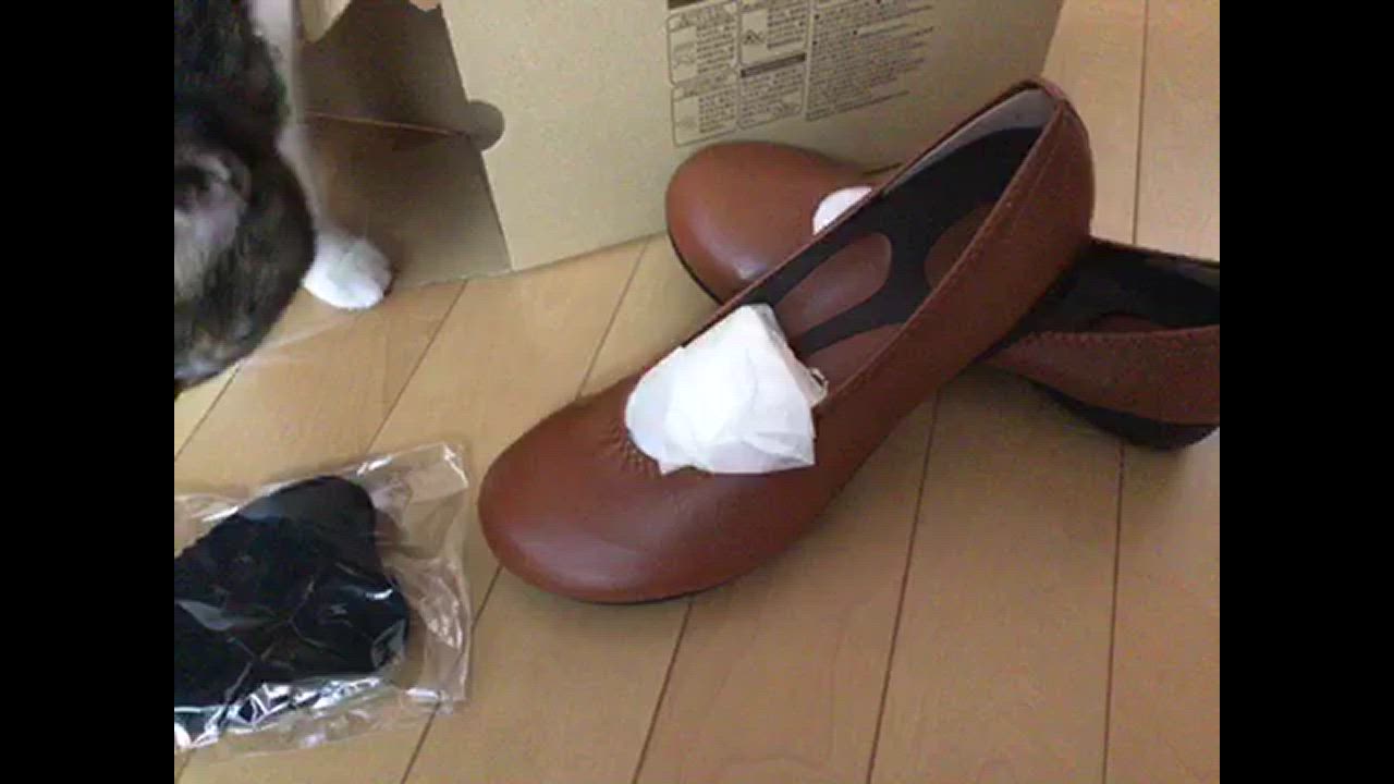 全体のレビュー動画のサムネイル | 2