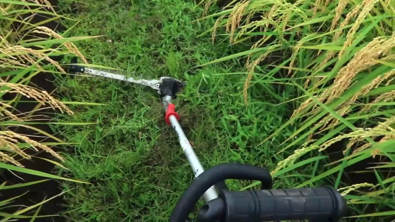 1件目のレビュー動画のサムネイル | 0