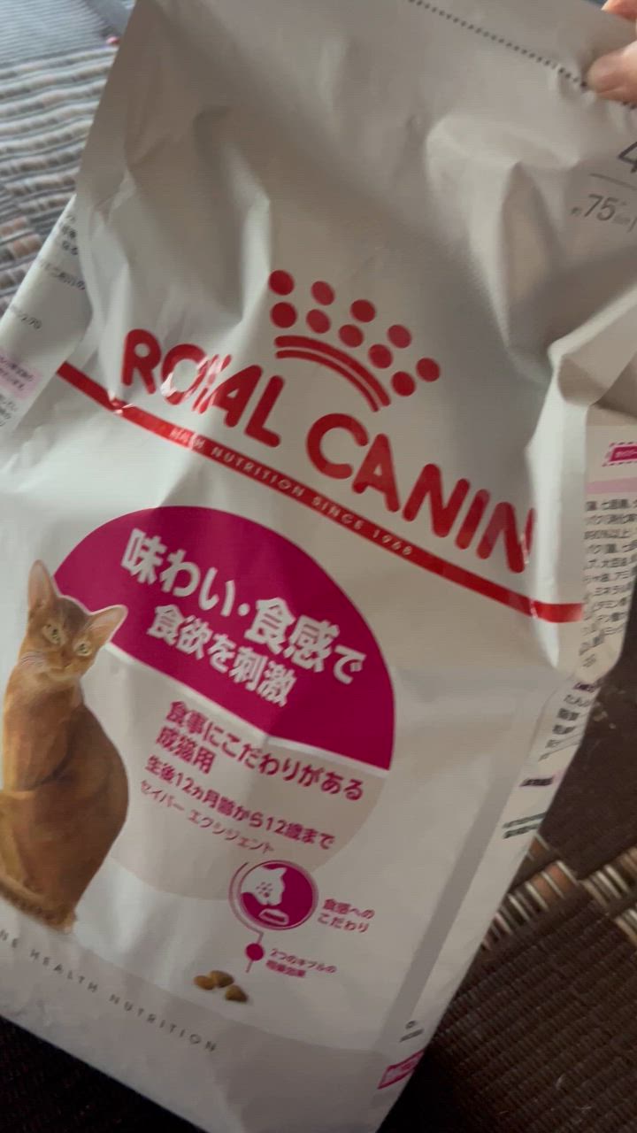 全体のレビュー動画のサムネイル | 0