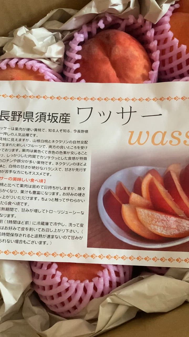 長野産ワッサー箱入り10キロ ワッサー】 約3kg 10個前後 桃 信州 長野県産 大きさミックス