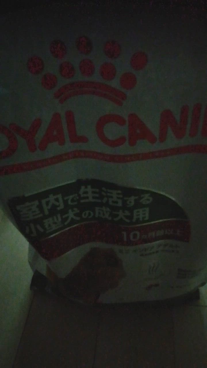 全体のレビュー動画のサムネイル | 1