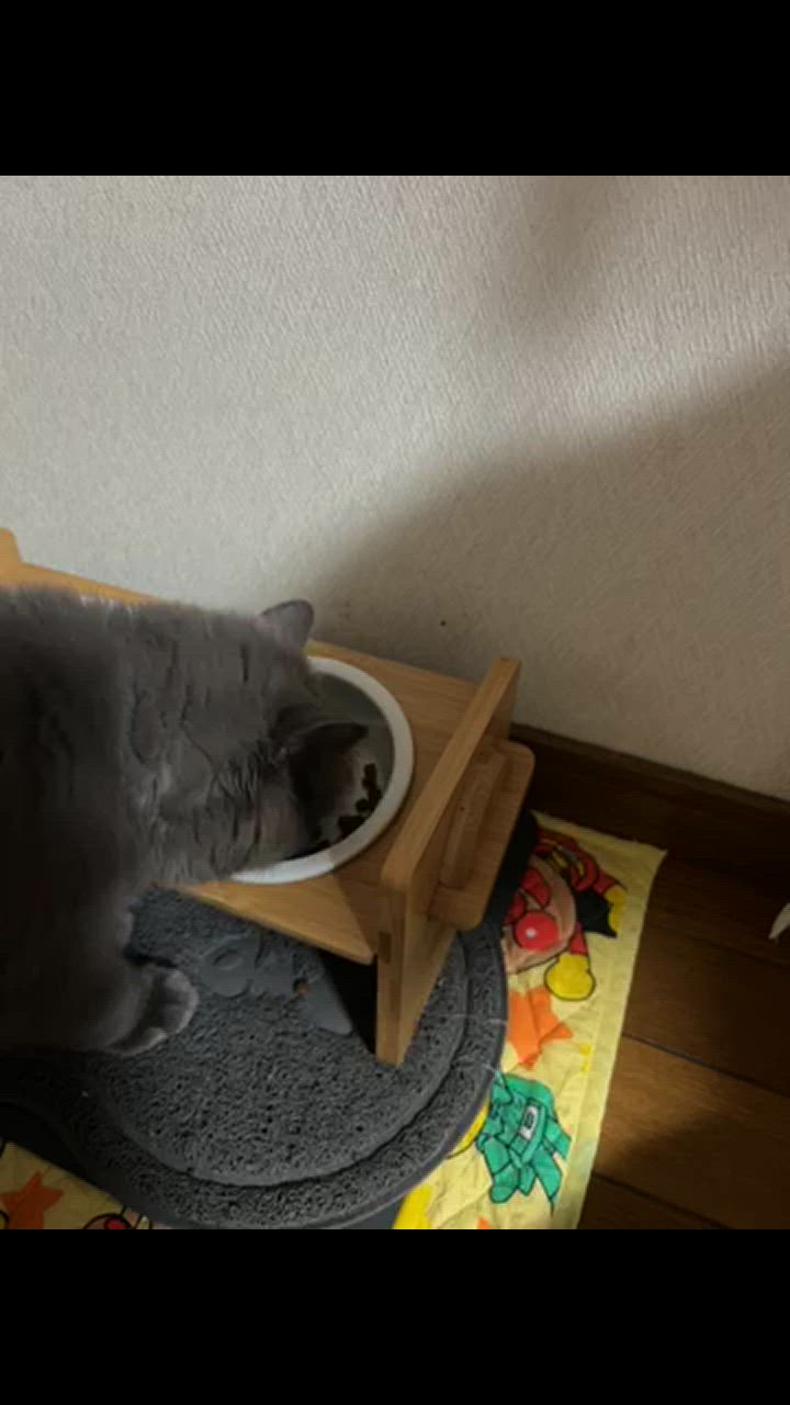 1件目のレビュー動画のサムネイル | 0