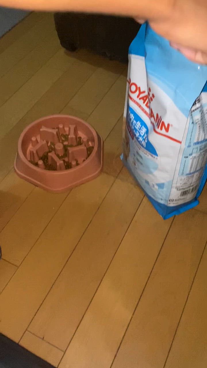 全体のレビュー動画のサムネイル | 0