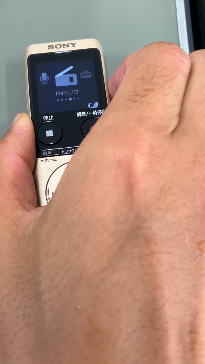 SONY ボイスICレコーダー ICD-UX570F ゴールド SONY ソニー SONY ICレコーダー ゴールド [4GB /ハイレゾ対応