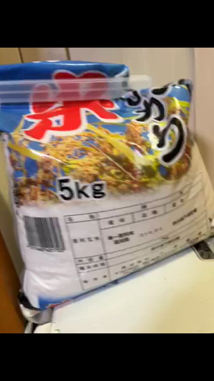 コシヒカリ 新米 無洗米 令和7年産 高知県産 こしひかり 10kg