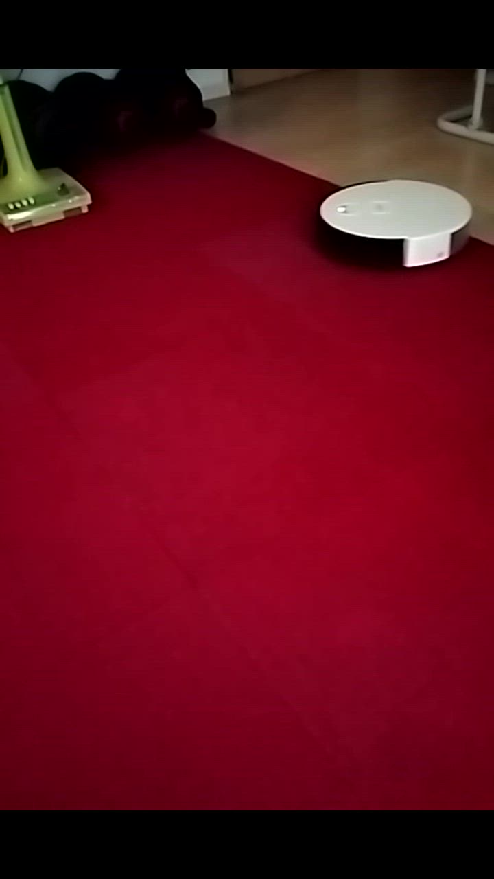 全体のレビュー動画のサムネイル | 7