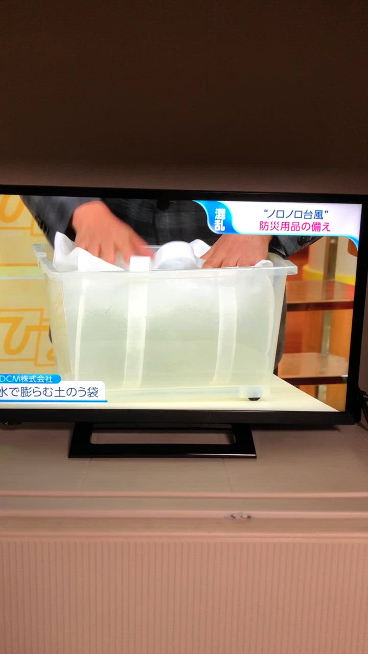 REGZA 東証上場の安心企業/REGZA 24S24 東芝 24V型デジタル