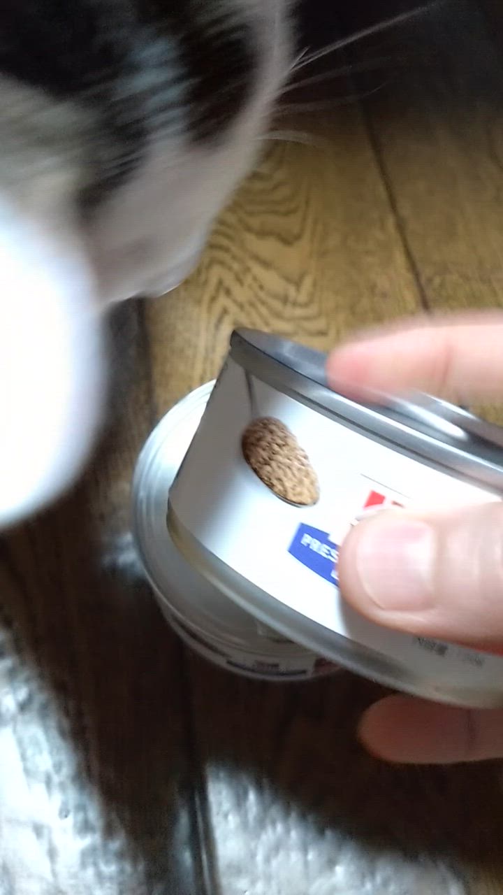 ヒルズ ダイエット 猫用 id チキン 消化ケア 缶詰 156g×24　i/d缶 ヒルズ 食事療法食 猫用 i/d アイディー 消化ケア チキン缶 156g