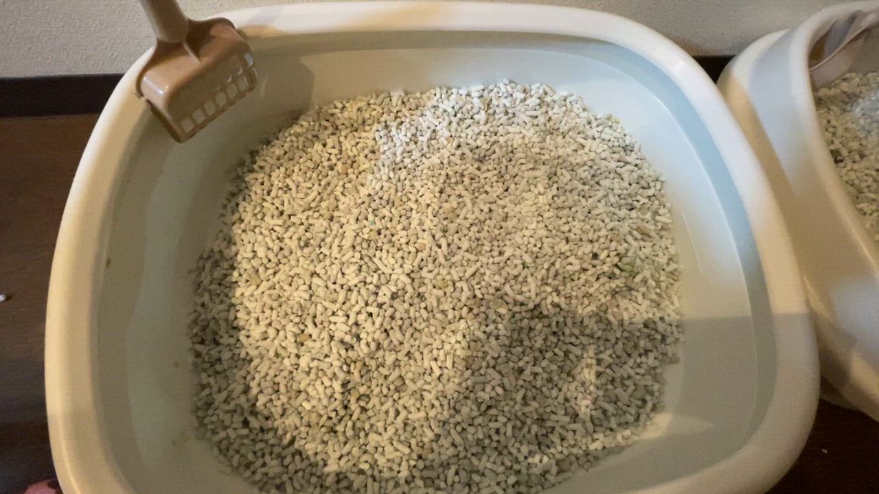 全体のレビュー動画のサムネイル | 10