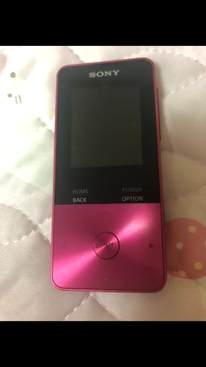 SONY ソニー SONY デジタルオーディオプレーヤー WALKMAN S310
