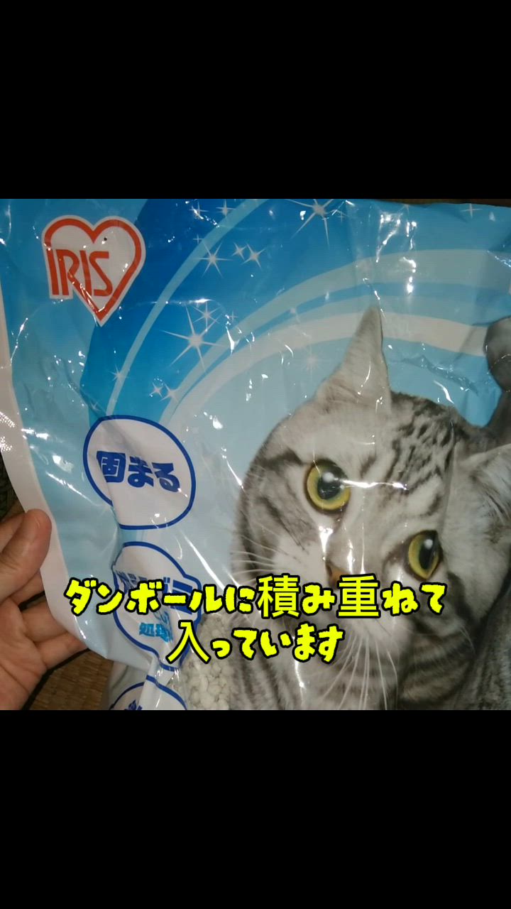 全体のレビュー動画のサムネイル | 9