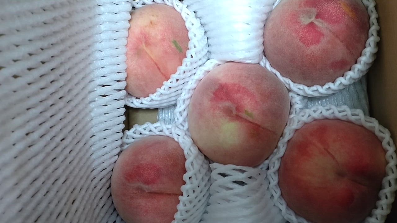 全体のレビュー動画のサムネイル | 5