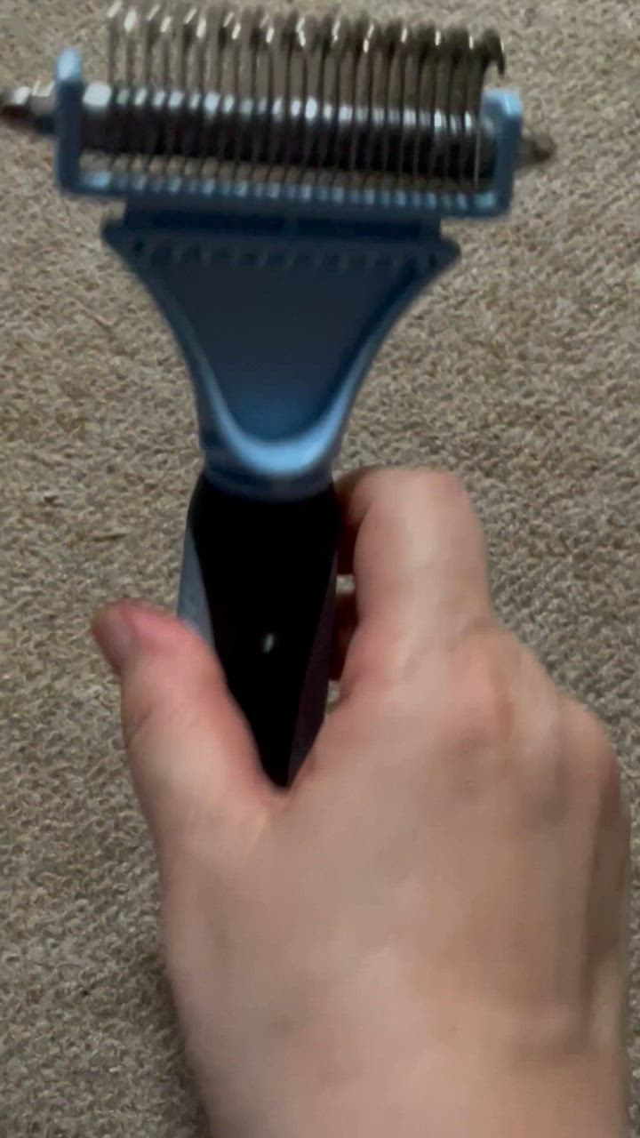全体のレビュー動画のサムネイル | 3