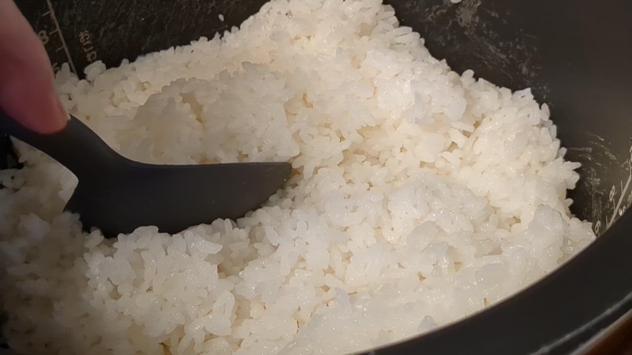 楽天市場】新入荷 はなえちぜん 鮮度の米 300g 令和6年産 真空