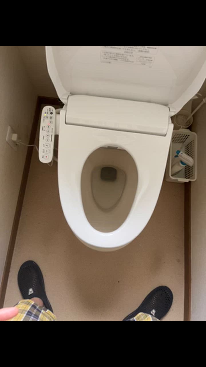 【新品】Panasonic CH951HMWP ホワイト ビューティ・トワレ Panasonic 【送料無料】パナソニック ビューティ・トワレ