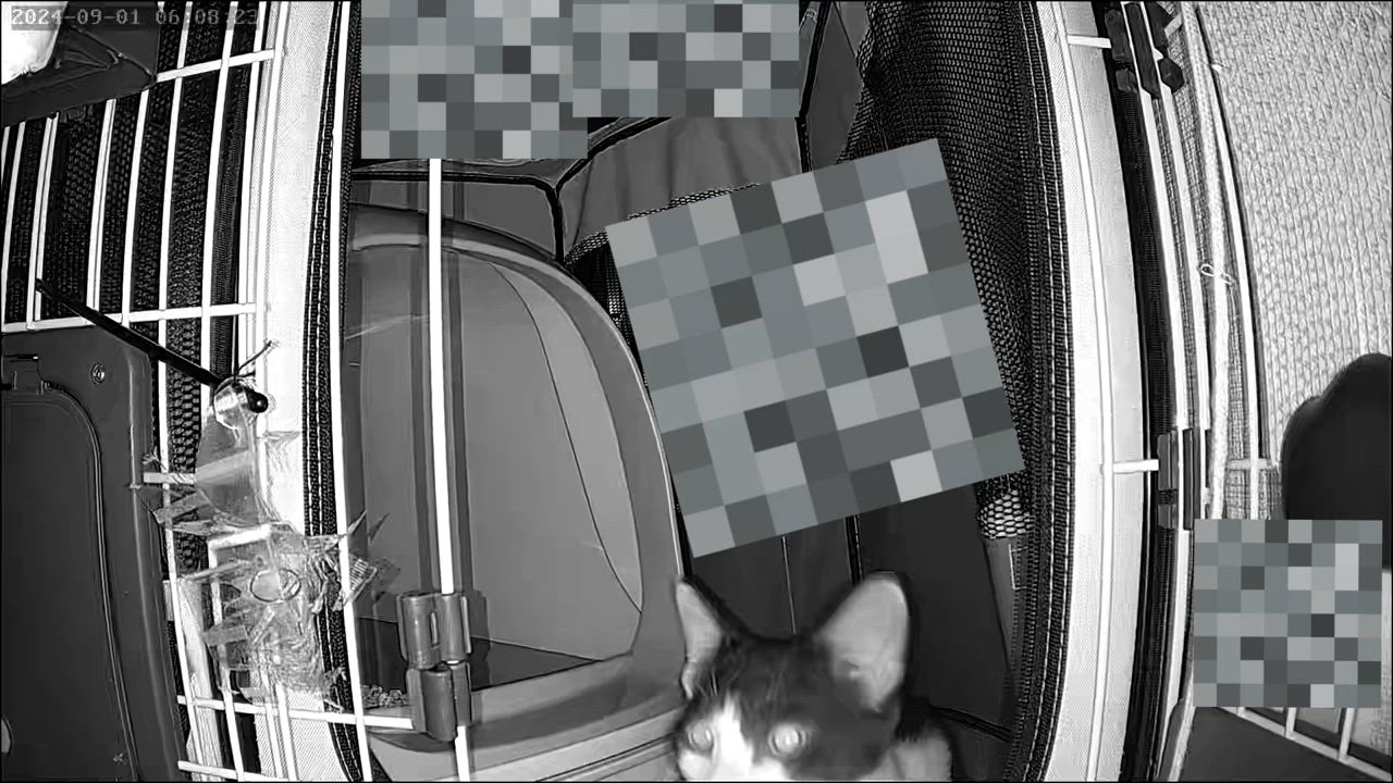 全体のレビュー動画のサムネイル | 0