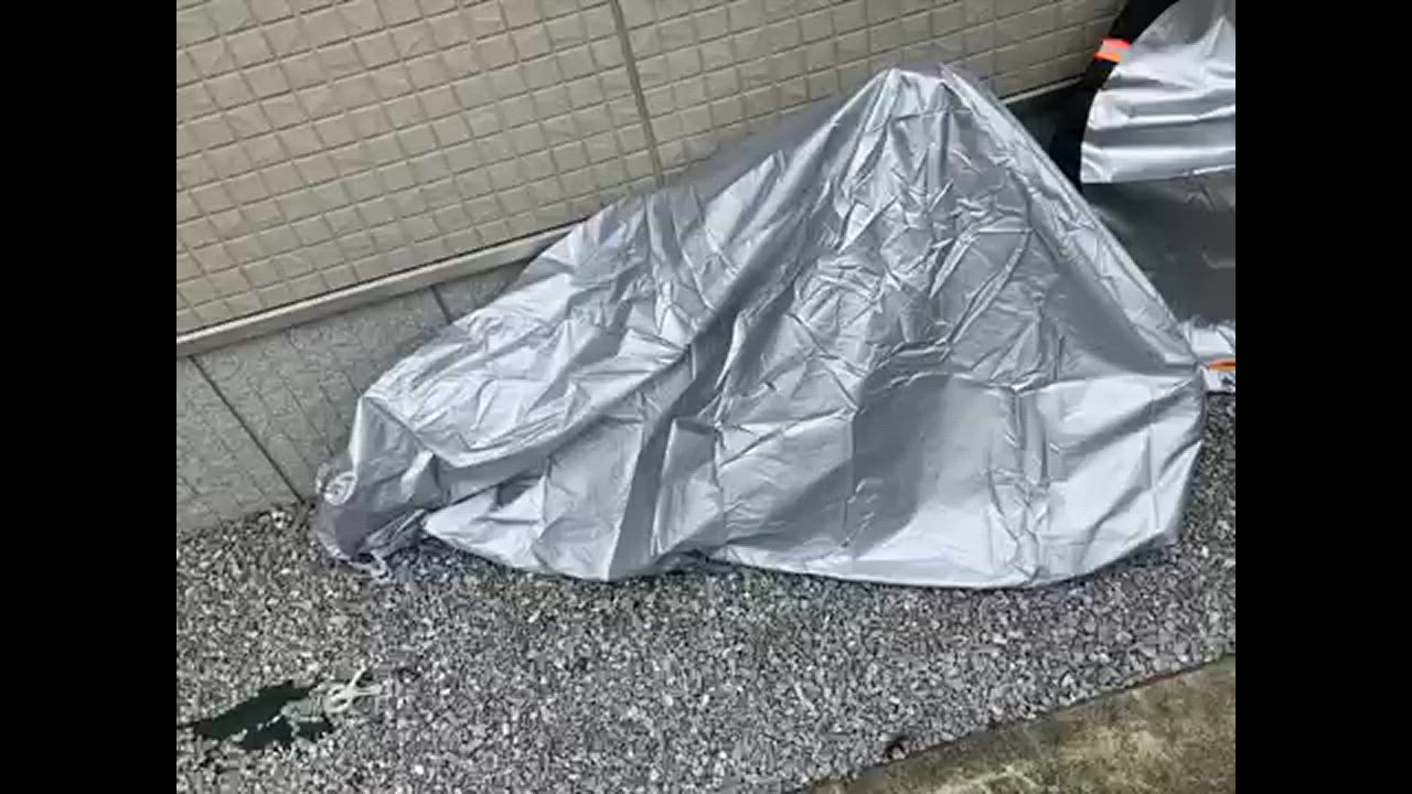 全体のレビュー動画のサムネイル | 19