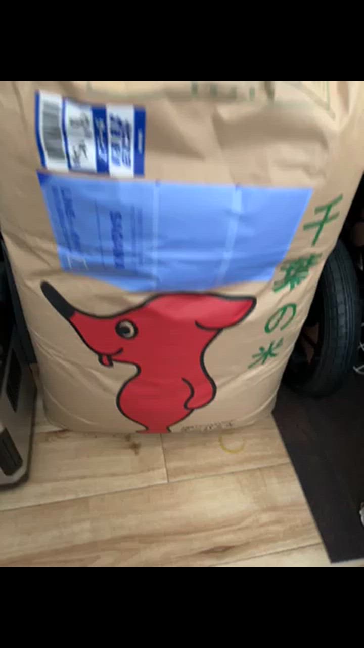 コシヒカリ 30kg 令和6年産 米 お米 玄米食でも安心の選別済 コシヒカリ 30kg 令和6年産 米 お米 玄米食でも安心の選別済