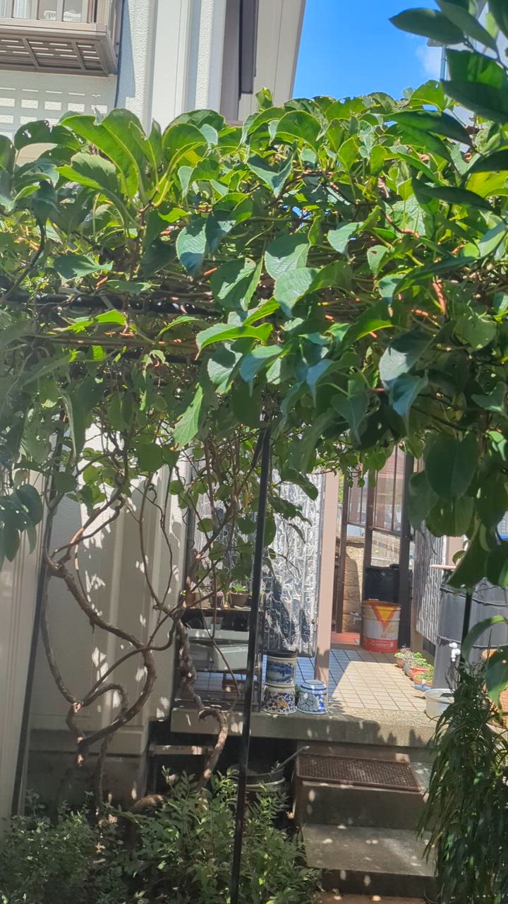 全体のレビュー動画のサムネイル | 0