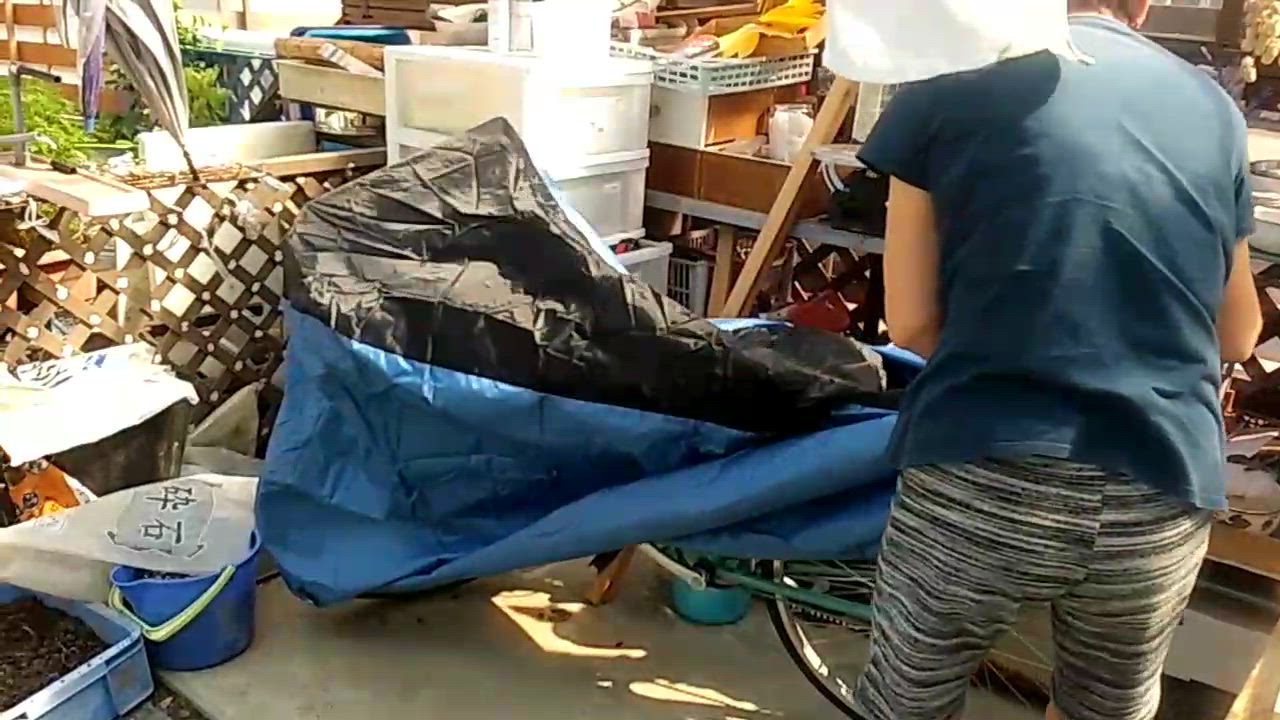 全体のレビュー動画のサムネイル | 18