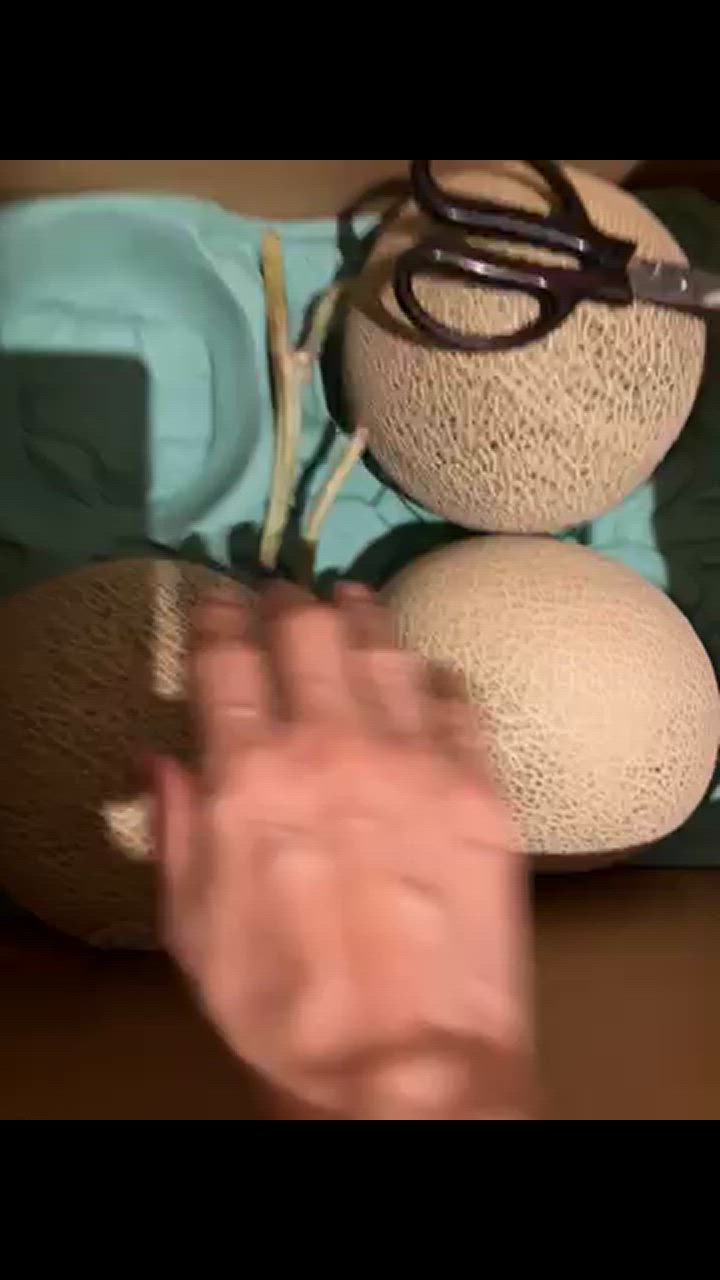 全体のレビュー動画のサムネイル | 0